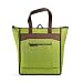 Rachael Ray ChillOut Thermal Tote Bag for Cold or Hot Food, Insulated, Reusable, Green