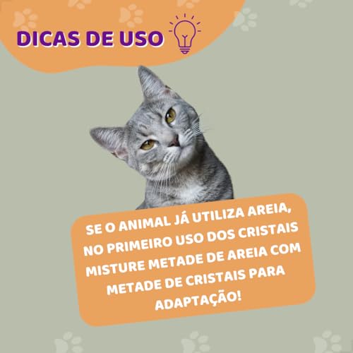 KIT 2 Areias Para Gatos Biodegradavel Mandioca Milho Fina Grossa 4kg (FINA + GROSSA)