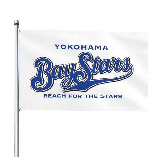 lDeNAxCX^[Yi4j 싅̊   ^pi Ԍ 뉀 LO 4x6ft/122x183cm