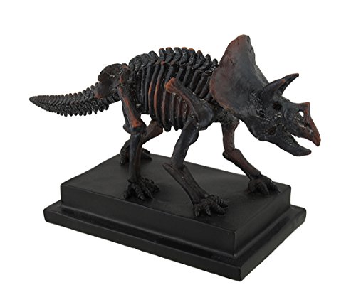 Estatua esqueleto de Triceratops acabado bronce antiguo