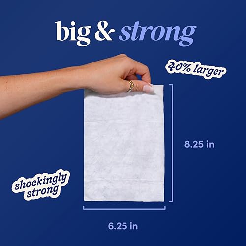 Image of goodwipes Flushable Wipes - Cedar, 418 Wipes (8 Pack + 1 Travel Pack)