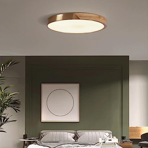 Lámpara de techo minimalista y creativa Yre de madera con panel plano led de 16.5'' 3