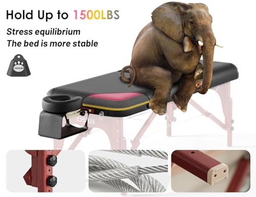 Image of CLORIS 84 inch Luxury Massage Table 2 Section Portable Hold Up to 1500LBS