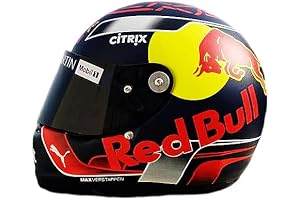 QJ 2019 MAX V F1 HELMET HAND-PAINT FULL SIZE 1:1
