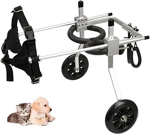 Fauteuil Roulant Pour Chien De Taille Moyenne Fauteuil Roulant fauteuil-roulant-pour-chien-de-taille-moyenne-fauteuil-roulant