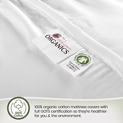100% Cotton Organic Mattress Protector - Breathable & Cooling Mattress Protector Queen Size - Premium 300GSM Quilted and Noiseless Machine Washable Organic Cotton Mattress Protector (White, King)
