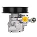 Power Steering Pump with Pulley - Compatible with 3.6L V6 2008-2017 Chevy Traverse, GMC Acadia, Buick Enclave, Saturn Outlook - Replace # 20954812 20-2403 96-2403