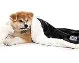 KritterWorld Pet Microplush Sherpa Snuggle Blanket, 45-Inch-by-30-Inch, Black