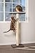 PetFusion Ultimate Cat Window Climbing Perch 45” Tall (Tree Sisal Scratching Posts, Modern Design Simply Suctions to Window. (EASY TO ASSEMBLE)