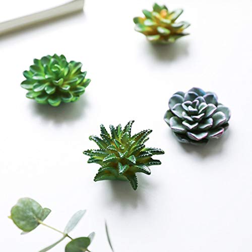 Cocome Funny 3D Resin Succulent Fridge Refrigerator Magnets, Set Of 4 #TOP3