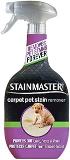 STAINMASTER Carpet Pet Stain & Odor Remover Cleaner, 22 Ounce