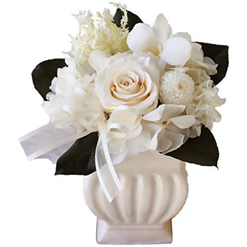 vU[uht[ (//zCg S)   [ ݗp ފ ~ ] AW bsOt