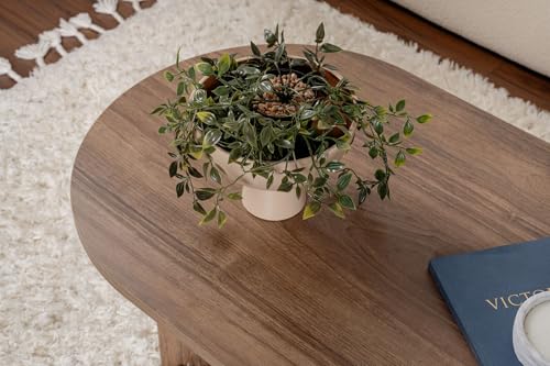 Table basse noyer 119 cm mélamine anti-rayures Asır Group