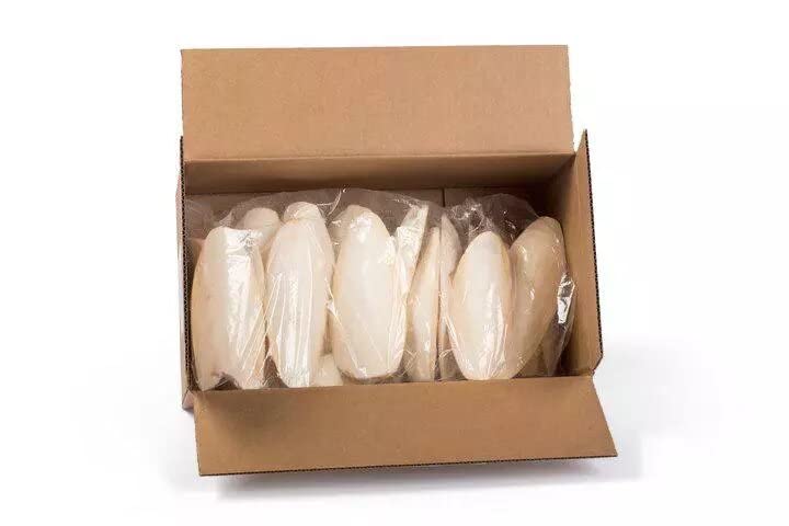 300gram Cuttlefish Bone - CUTTLEBONE/100% Natural Cuttlefish Bone from JAGGY EXPORTS (B0BN8R85NQ) Amazon Price History, Amazon Price Tracker