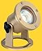 Corona CL-311-BR -Low Voltage/ 12V Underwater Light Brass Underwater, Natural Brass