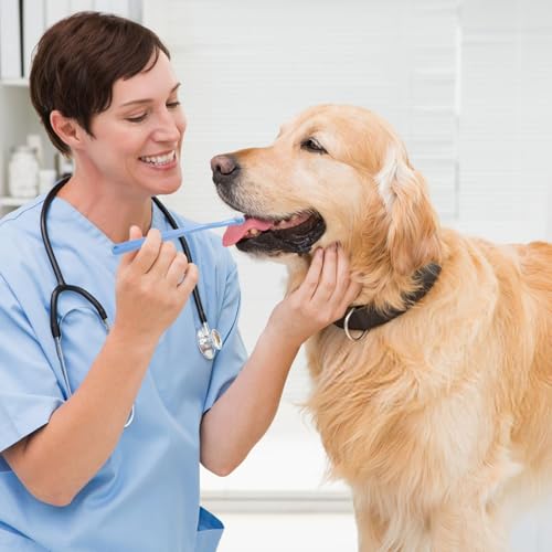4 Stück Hundezahnbürste, Hunde Zahnbürste Kleine Weiche Rundkopf Katzenzahnbürste Kleine Haustierzahnbürste Kätzchenzahnbürste für Kätzchen und Welpenzahnreinigung Mundpflege