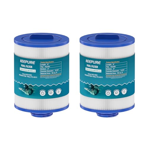 KEEPURE PAS50SV-F2M Hot Tub Filter Replacement for Artesian Spas,06-0005-12,6CH-502,06-0006-12,Filbur FC-0311,XLS-604,AR50,AK-9016,M60506 Spa Filter,50 Sq.ft,2Pack
