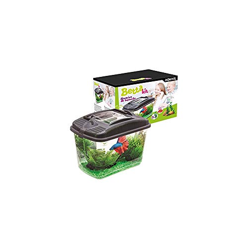 AquaEl Betta Kit avec filtration douce et éclairage LED intégré - 4
