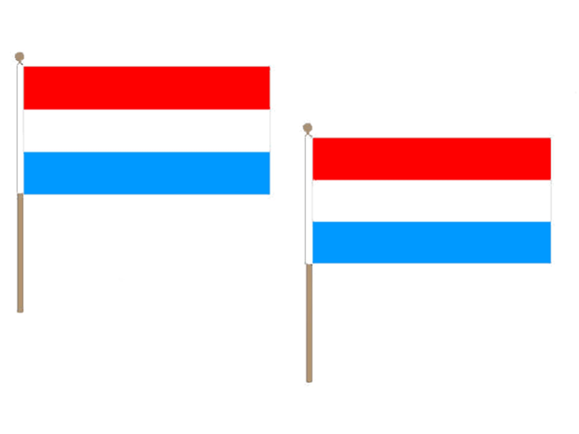 Drapeau Luxembourg 45x30cm avec hampe en bois par lot de 10 AZ FLAG