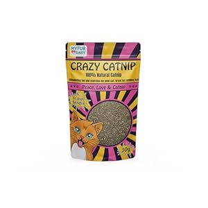 My Fur Baby Crazy Catnip, 100% Natural – Cat Treat – Cat Toy