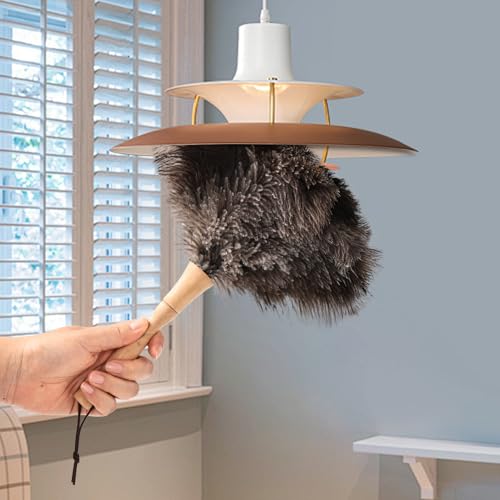Image of Ostrich Feather Duster 12 Inch Handheld Duster Supplies, Wooden Handle Feather Duster for Cleaning Keyboard Home Car Office (Natural)