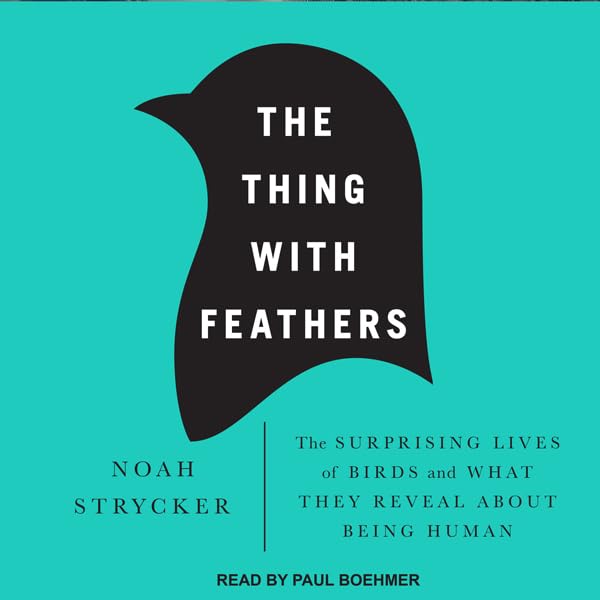 Cover art for The Thing with Feathers