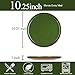 Ruxmirae 10.25-Inch Dinner Plates Set of 4, Dual Glaze Stoneware Plates, Microwave and Dishwasher Safe, Ceramic Plates for Everyday Dining, Forest Glaze Green