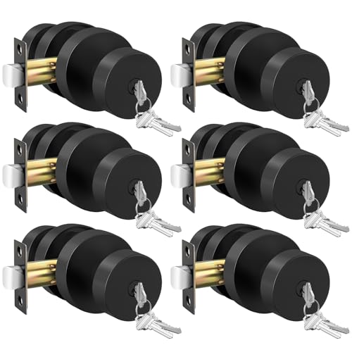 Image of Haidms Black Door Knobs with Key, Heavy-Duty Zinc Alloy Keyed Entry Door Knobs Exterior, Matte Black Front Door Knob with Lock, Keyed Different, 6 Pack