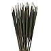 50 Stem Bundle of All-Natural Cattail Stems, Dried Decorative Drop-in Bouquet, 28” Tall Rustic, Farmhouse, and Holiday Décor, Long-Lasting Natural Arrangement (Moss Green)