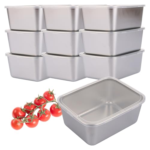 LDXDRU 10 recipientes herméticos de acero inoxidable, 500 ml, recipientes de acero inoxidable con tapa, recipiente para congelador, caja de almacenamiento de alimentos, cajas de preparación de