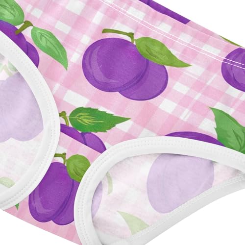 Toddler Underwear Floral 2t Cotton Girl Panties Cute Pattern Underpants Briefs Cartoon Purple Plums Pink Gingham4