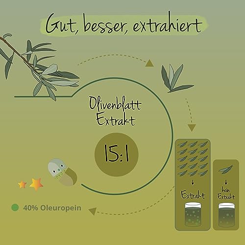 Olivenblattextrakt Kapseln | 40% Oleuropeino | Spanischer Olivenblatt Extrakt (15:1) | 500mg - Entspricht 7500 mg Olivenblättern | 90 Stück | Vegan von Vegavero®
