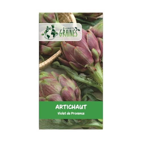 80 graines d' artichaut violet de provence/artichoke purple