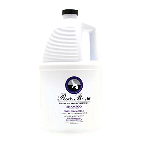 Les Poochs Pooch Bright Shampoo 3.8L
