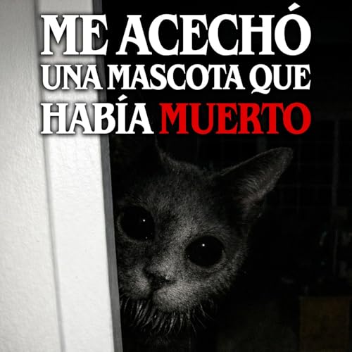 Me acech&oacute; una mascota que hab&iacute;a muerto