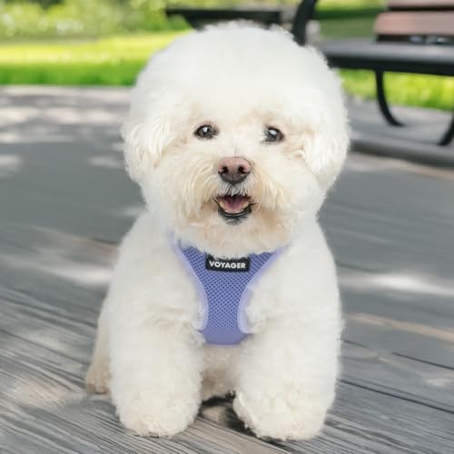 Image of Best Pet Supplies Voyager Air Step-in Harness Reflective Mesh No Pull for Dogs and Cats, Safety with Buckle Closure, Double D-Rings, Lavender, S
