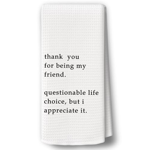 BCUANGD Funny Sarcastic Humorous Kitchen Towels Decor - Funny Dish Towel with Saying Hand Tea Towels, Hostess Friendship Gifts for Christmas Dish Towel Dishcloths Decorations for Kitchen, 16"x24"