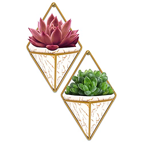 Hearthli Hanging Wall Planters for Indoor Plants, Modern Indoor Wall Planter, Geometric Wall Hanging Planter, Small Succulent Wall Planters, Ceramic Wall Plant Holder, White Wall Mounted Planters