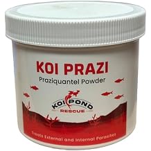 Generic KOI PRAZI 10 Grams Praziquantel Powder for Pond & Aquarium, Effective Fish Treatment for Flukes & Bacterial Infections in Koi and Ornamental Fish, White