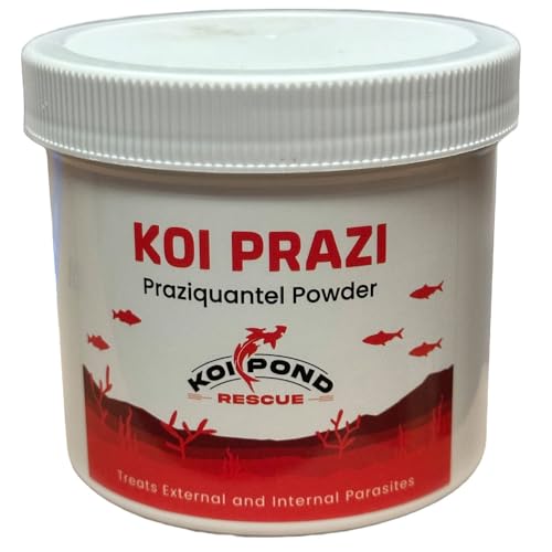 Generic KOI PRAZI (10 Grams) Praziquantel Powder for Pond & Aquarium, Effective Fish Treatment for Flukes & Bacterial Infections in Koi and Ornamental Fish, White