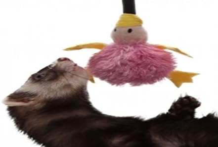 Marshall Pet Bungee Ferret Toy
