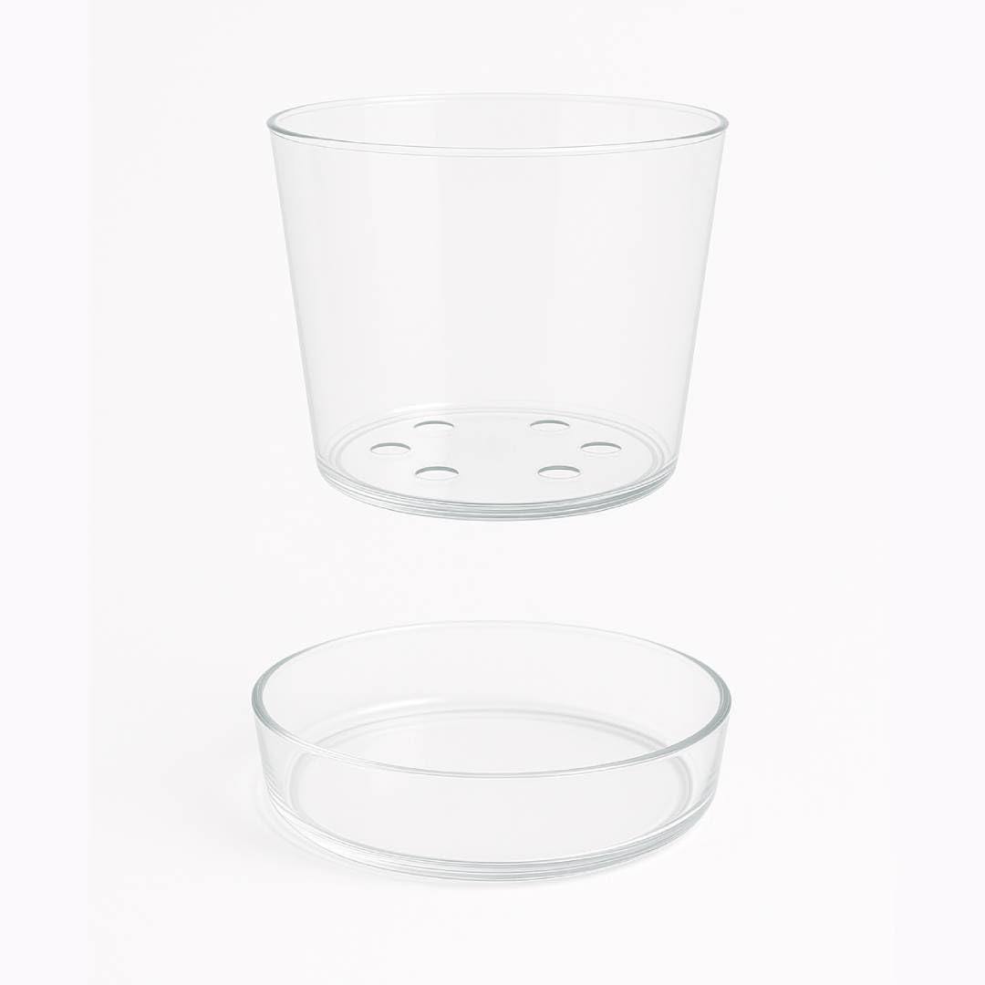 Elegante maceta de cristal transparente con agujeros de drenaje y bandeja, macetas decorativas modernas para plantas de interior, maceta de vidrio para el hogar, oficina, suculentas y plantas de
