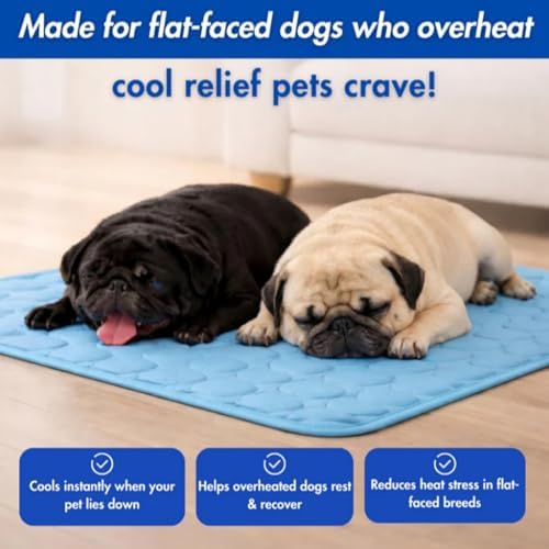 Alfombrilla de refrigeración para perros, transpirable, portátil, para verano, para perros, gatos, no tóxica, para uso en interiores y exteriores (L-70 x 55 cm)