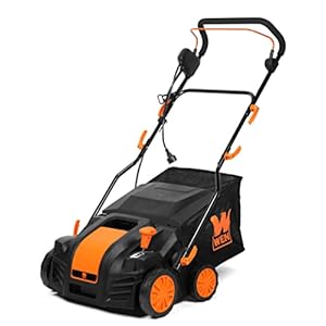 WEN DT1516 16-Inch 15-Amp 2-in-1 Electric Dethatcher and Scarifier with Collection Bag, Black