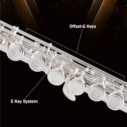 Eastrock JDFLUTE-SPSC Silver Plated C Flute Closed Hole 16 Keys Flute Instrument With Curved Head Joint Mouthpiece Replacement,Cleaning Kit,Stand,Carrying Case,Gloves,Tuning Rod thumb #4