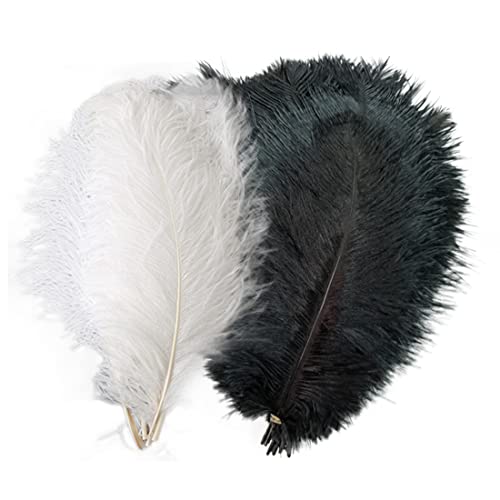 MARRTEUM 8-10 Inch Natural Ostrich Feathers for Party, Wedding, Masquerade and Home Decorations(10 PCS Black and 10PCS White)