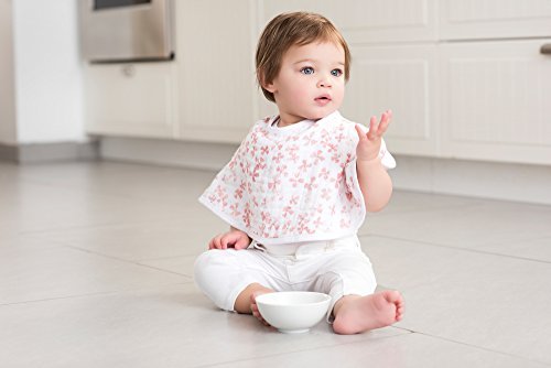 https://m.media-amazon.com/images/I/41vb7P0VjHL._SL500_.jpg