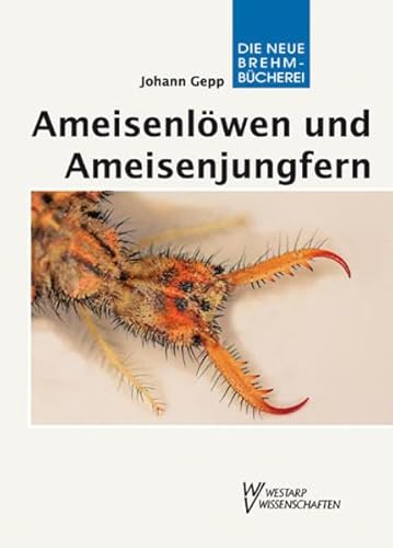 AMEISENLÖWEN U. - JUNGFERN: Myrmeleonidae