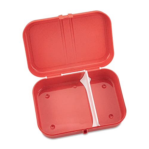 Koziol 7152704, Breakfast Box, Lunch To Go, Meal Prep, Nature Coral #TOP1