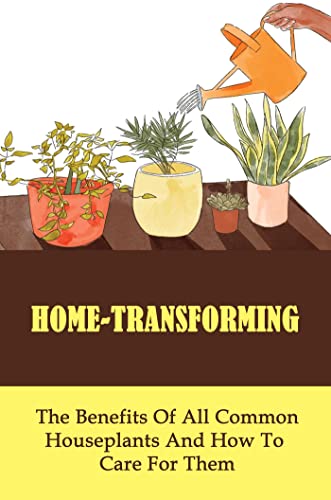 Home-Transforming: The Benefits Of All Common Houseplants And How To Care For Them